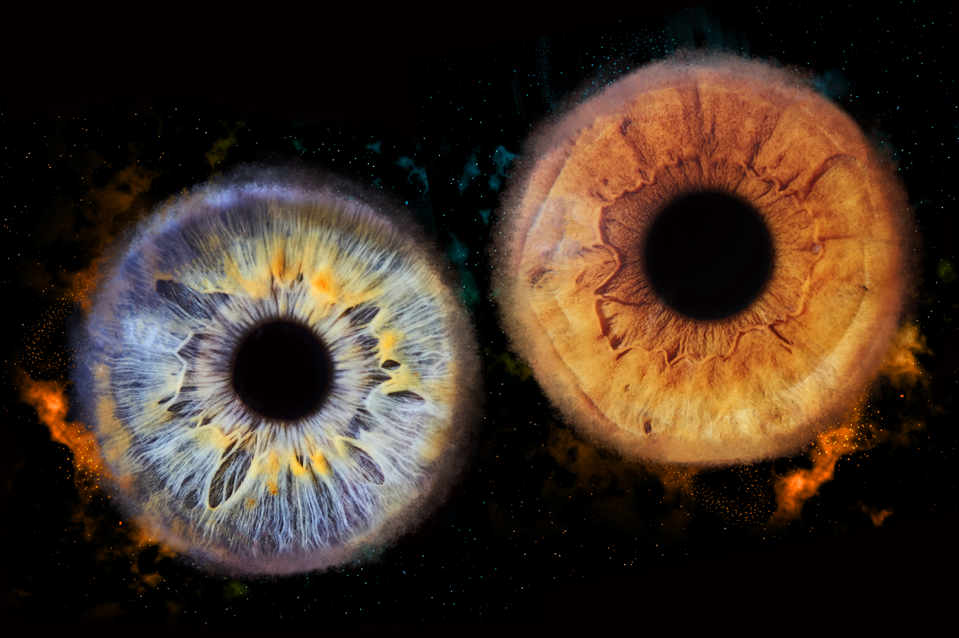 Séances de photographie d’iris