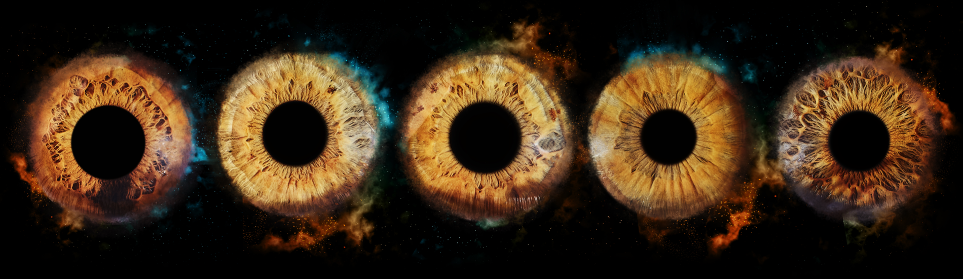 S&eacute;ances de photographie d&rsquo;iris