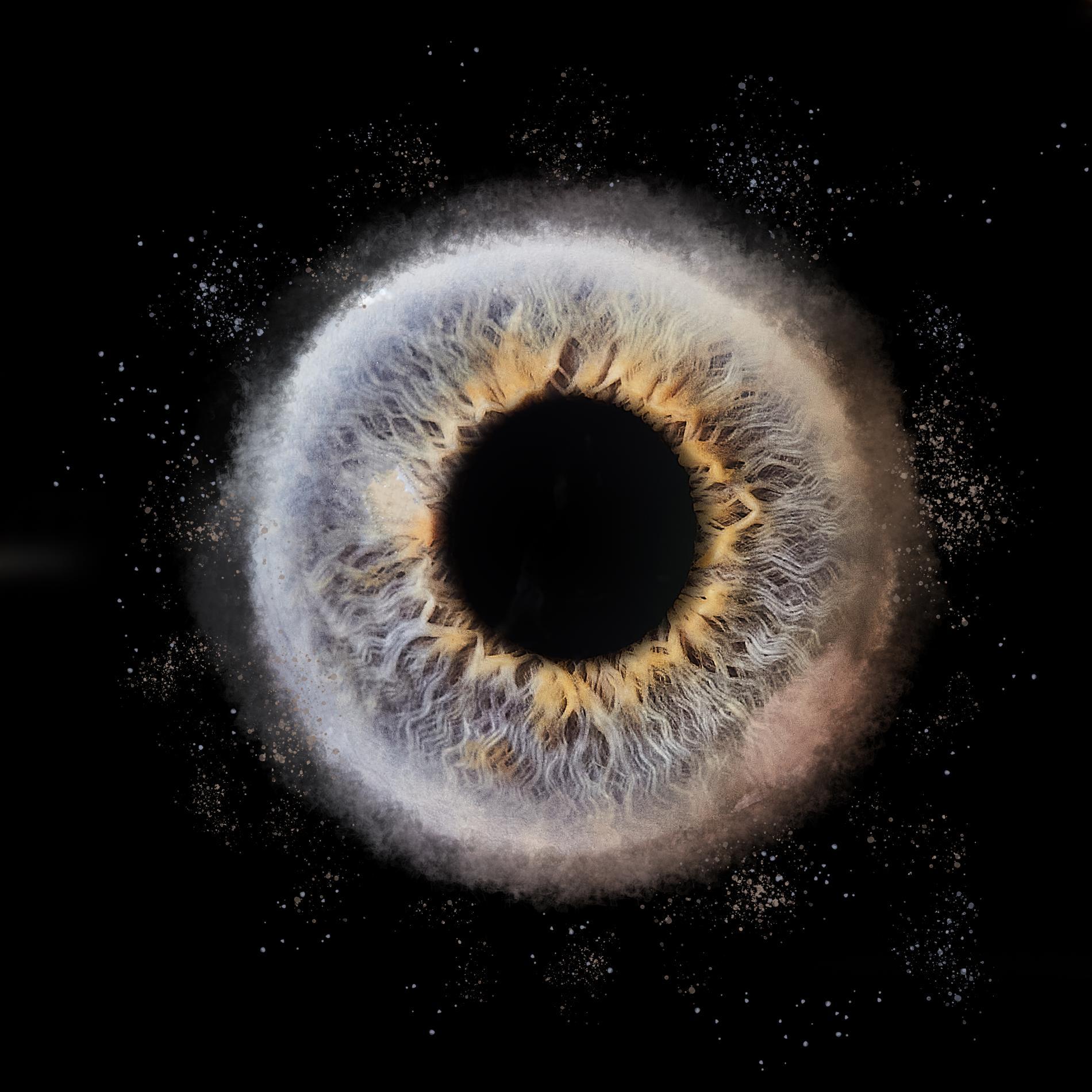 S&eacute;ances de photographie d&rsquo;iris