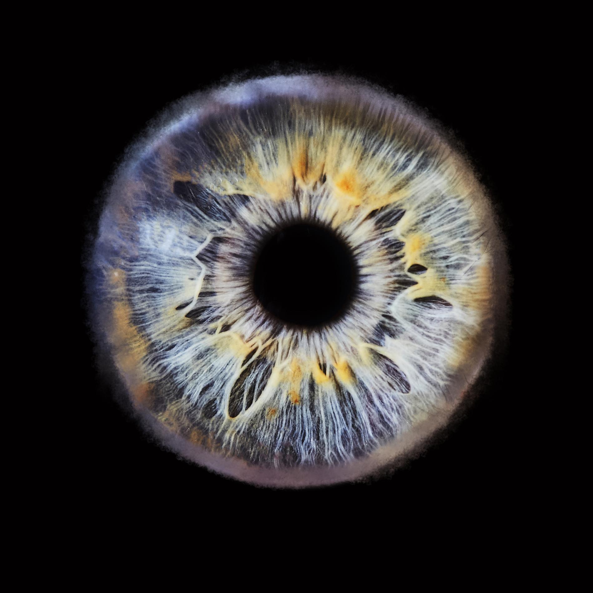 S&eacute;ances de photographie d&rsquo;iris